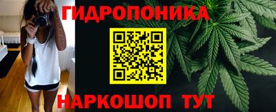 крисы Апшеронск