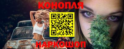 крисы Аргун