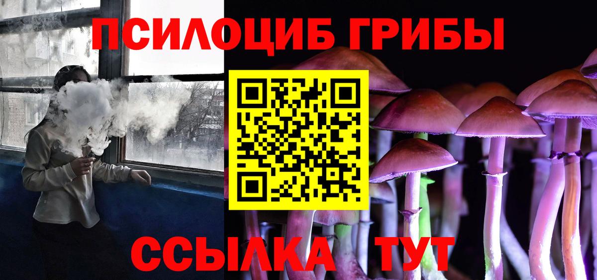 Псилоцибиновые грибы Cubensis  Воркута  Галлюциногенные грибы Psilocybine cubensis 