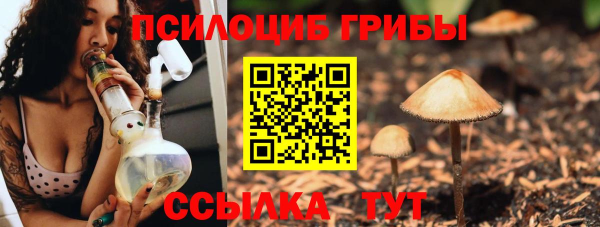 Псилоцибиновые грибы прущие грибы  Вход с VPN  Воркута 